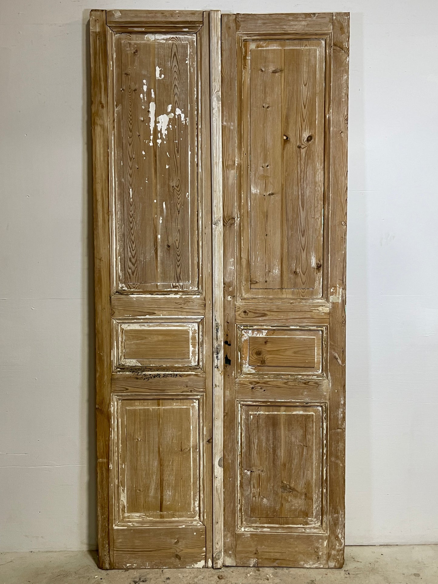Antique French panel Doors (96.5x44) L266