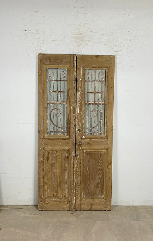 Antique French panel doors with Metal (85x41) P91
