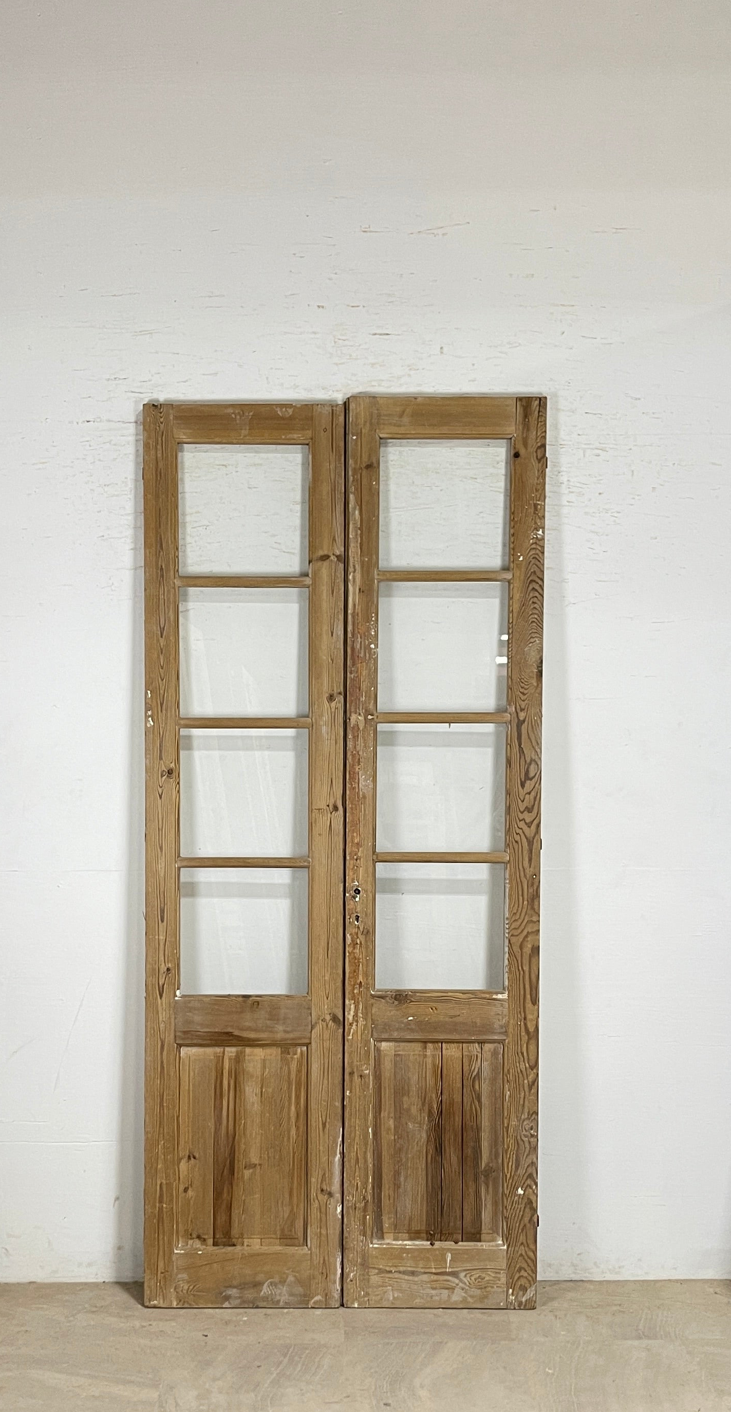 Antique French panel doors with Glass (100x43.5) P177