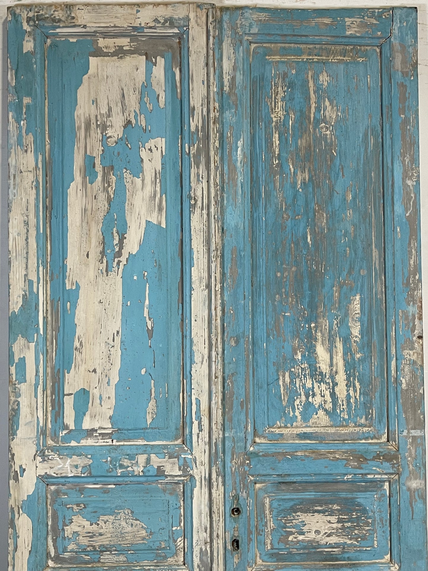 Antique French panel Doors (84.75 x 40.25) K646