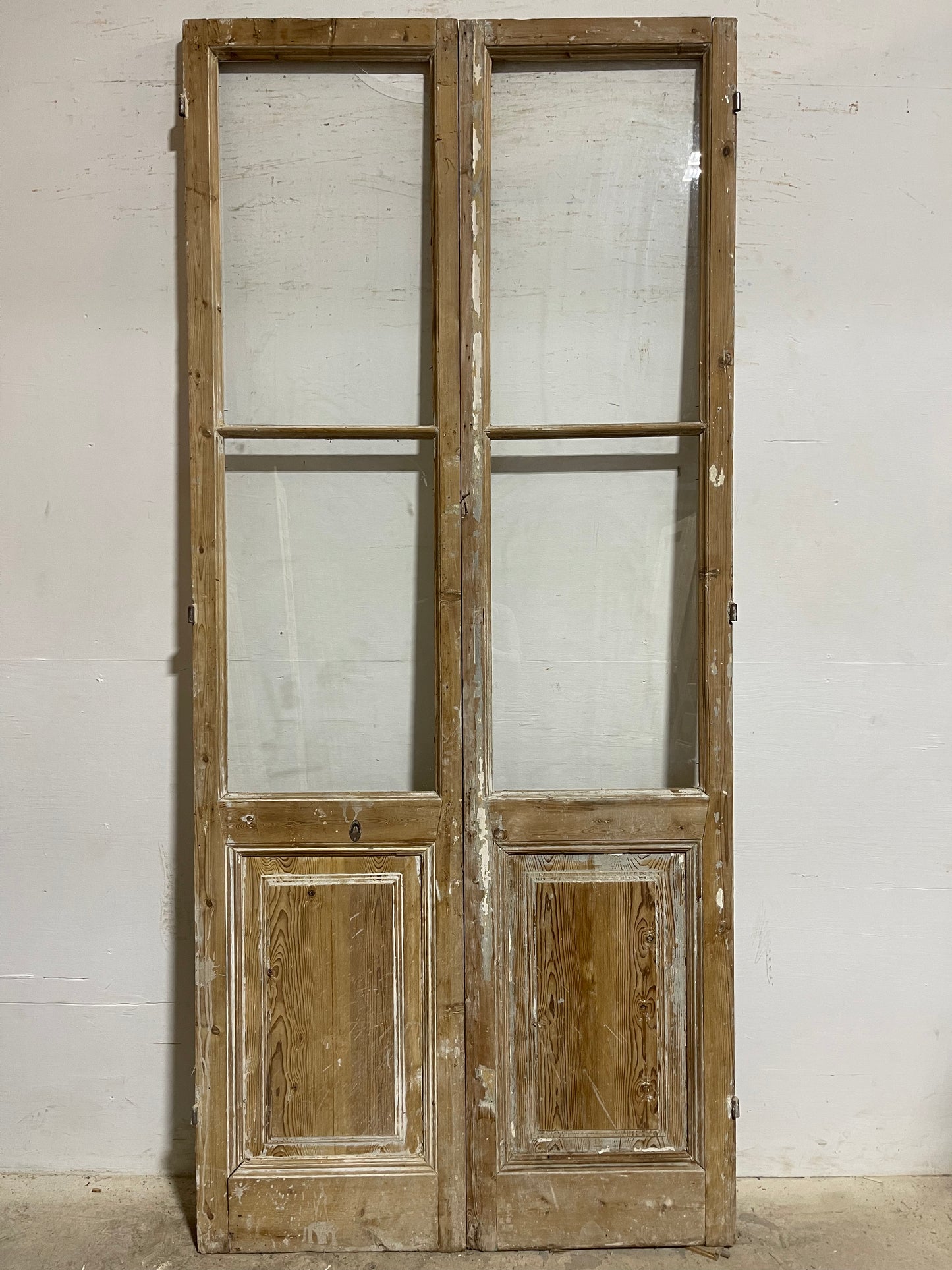 Antique French Panel Doors with glass  (100x44.5)  K310