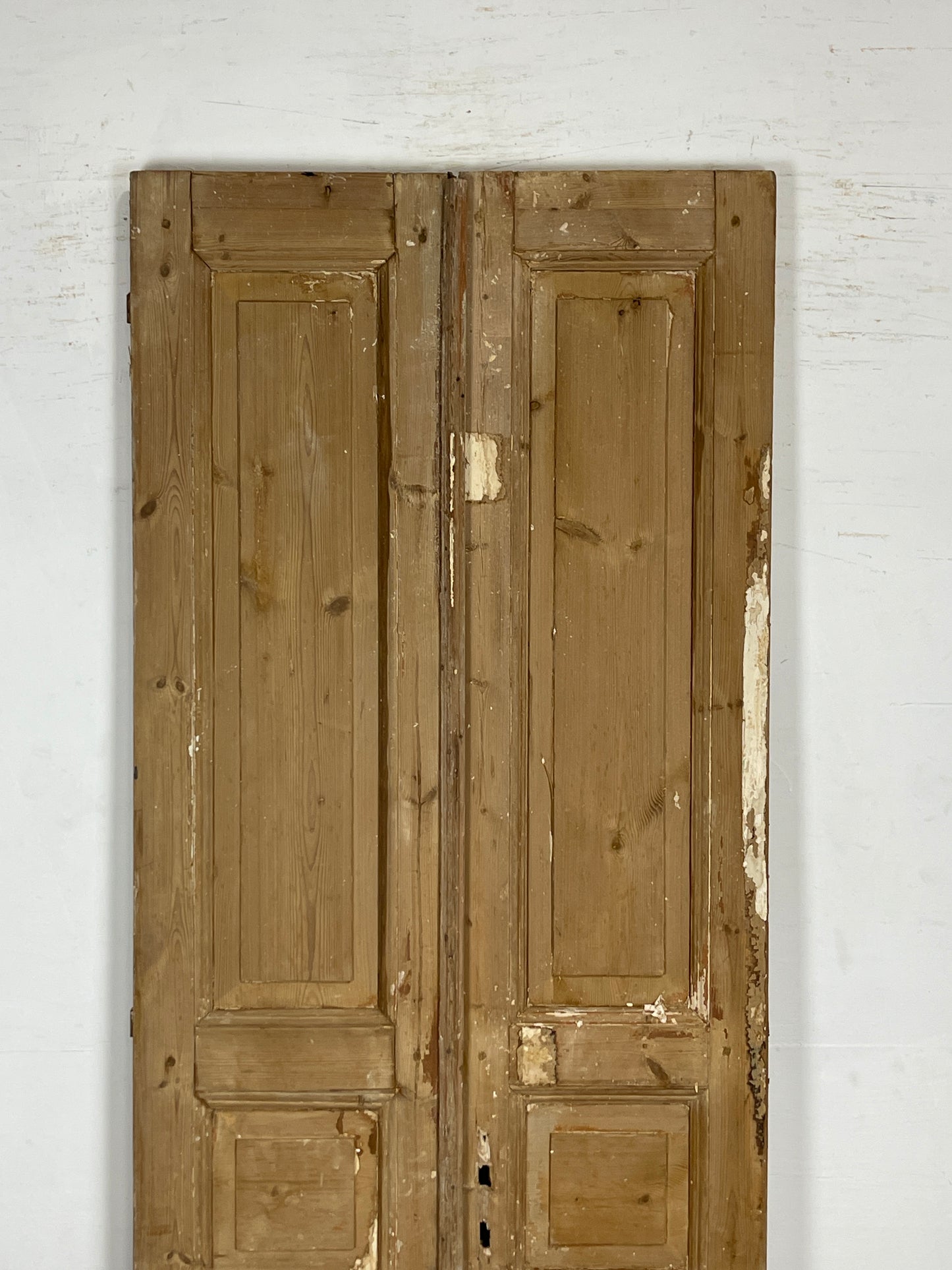Antique French panel Doors (95.75 x 34.25) N104