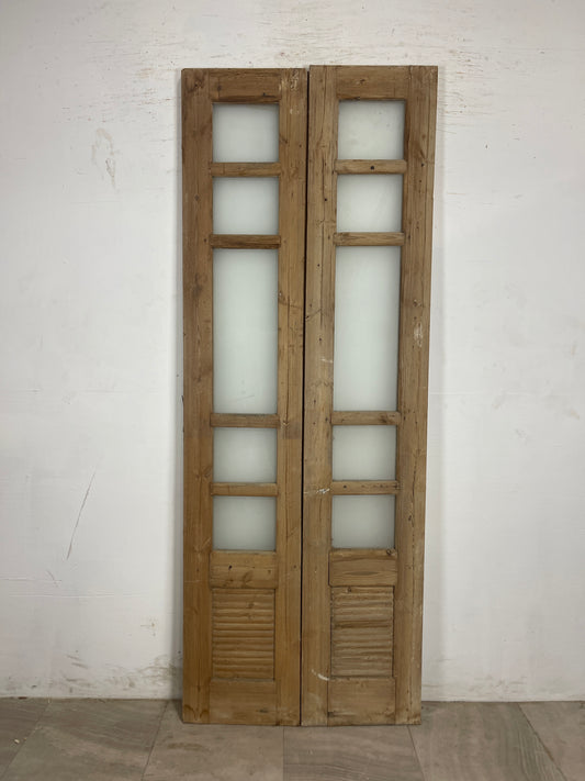 Antique French Panel Doors with Glass (92.75 x 34.75)  N226