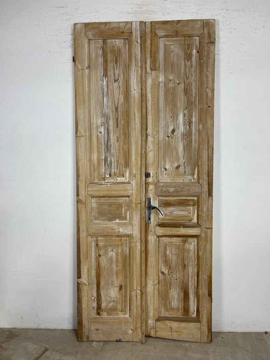 Antique French panel Doors (91.5x39.75) O218