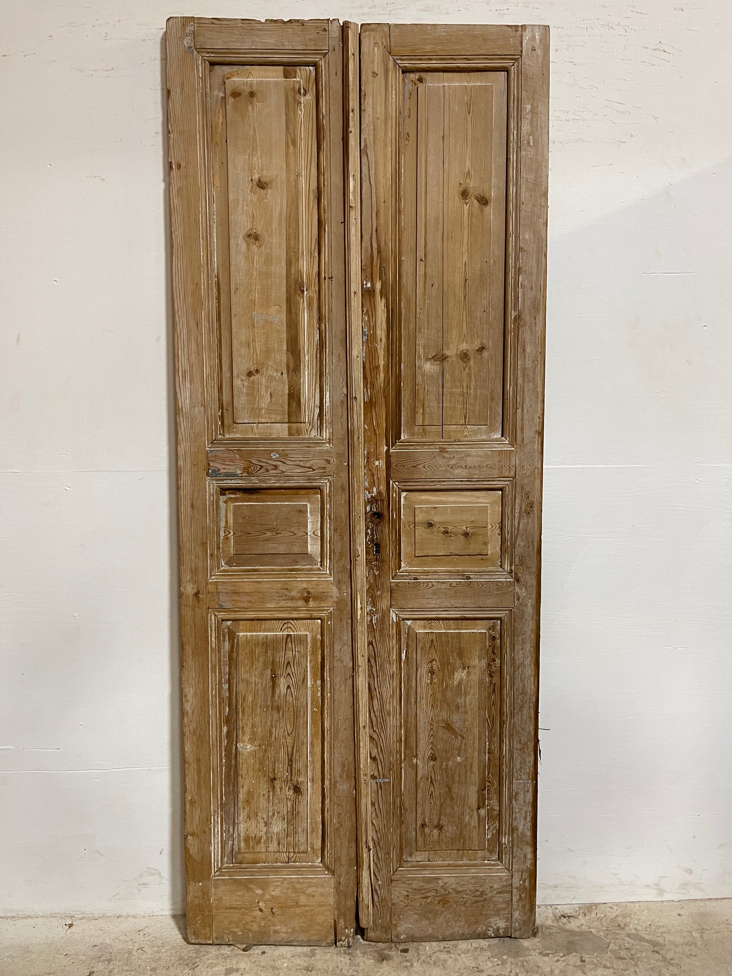Antique French panel Doors (89.5x35.75) J638