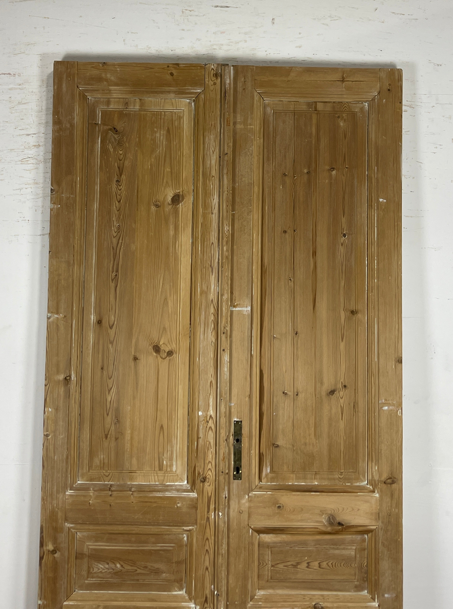 Antique French panel doors with Carvings (98 x 44) P56