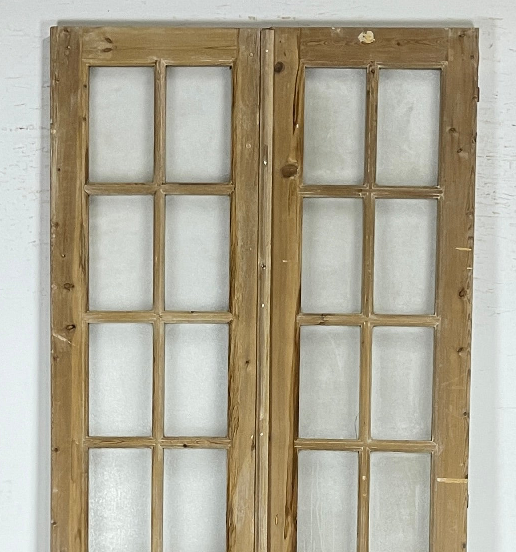 Antique French panel doors with Glass (108x47) P173