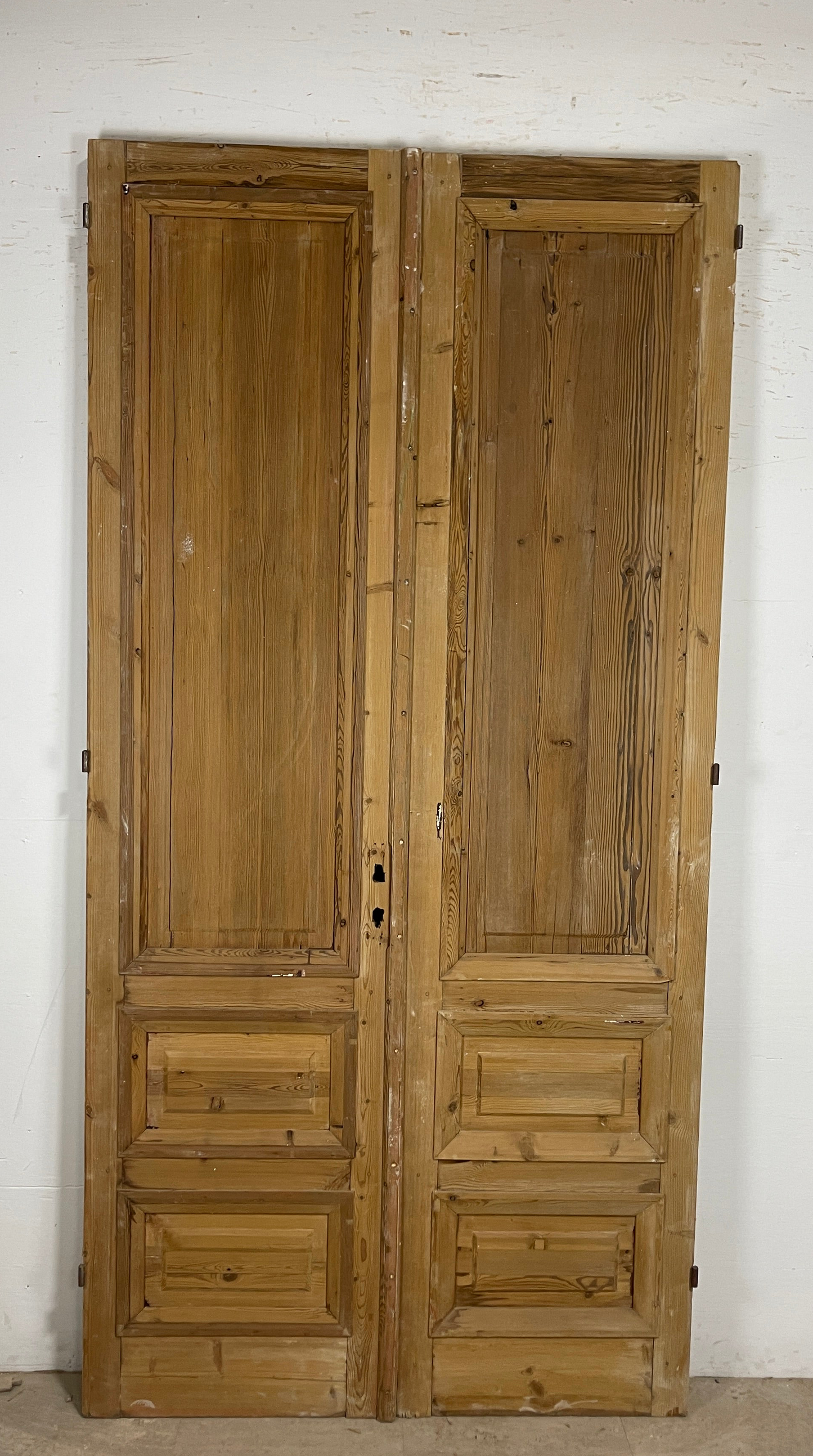 Antique French panel doors with Carvings (100 x 49.5) P55