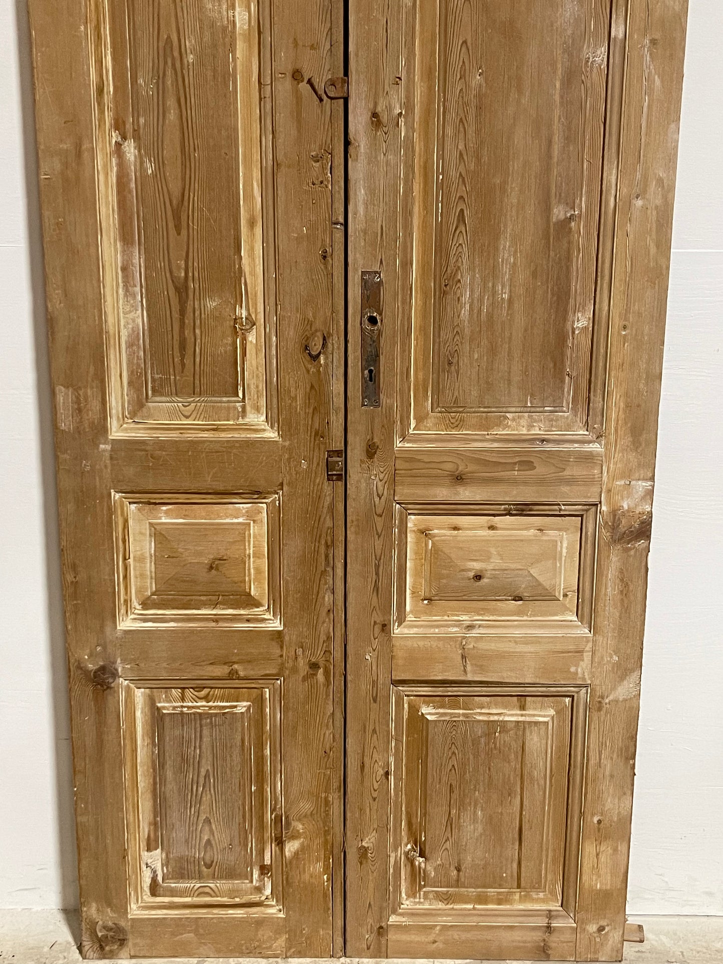 Antique French panel Doors (94.50 x 37.5) J608