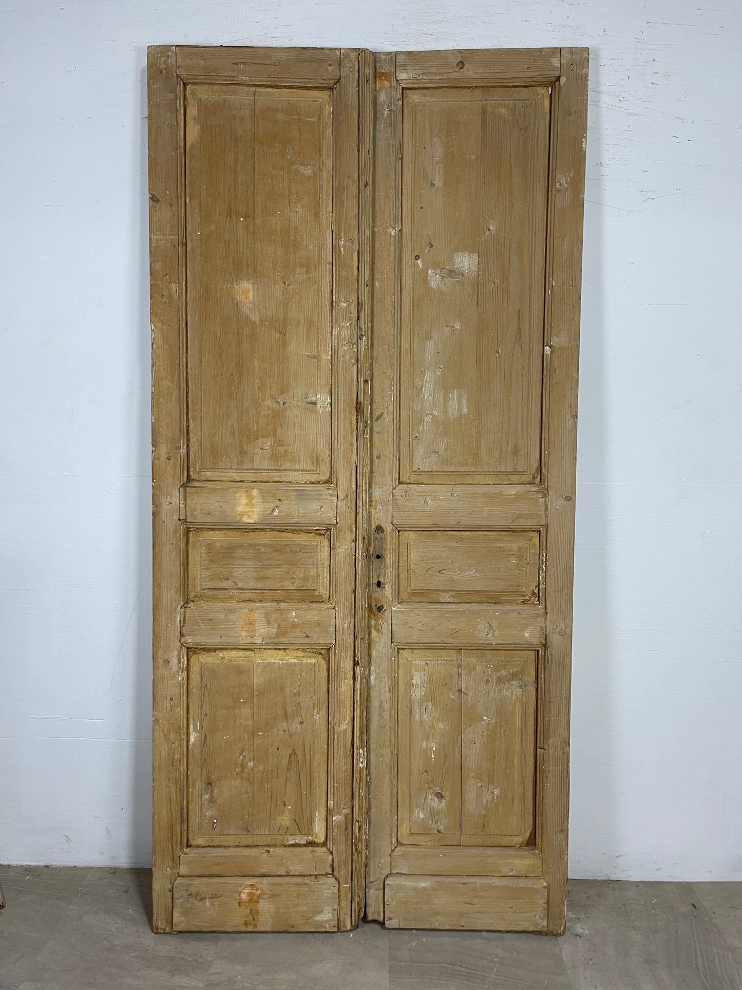 Antique French panel Doors (90.5 x 43.75) O125