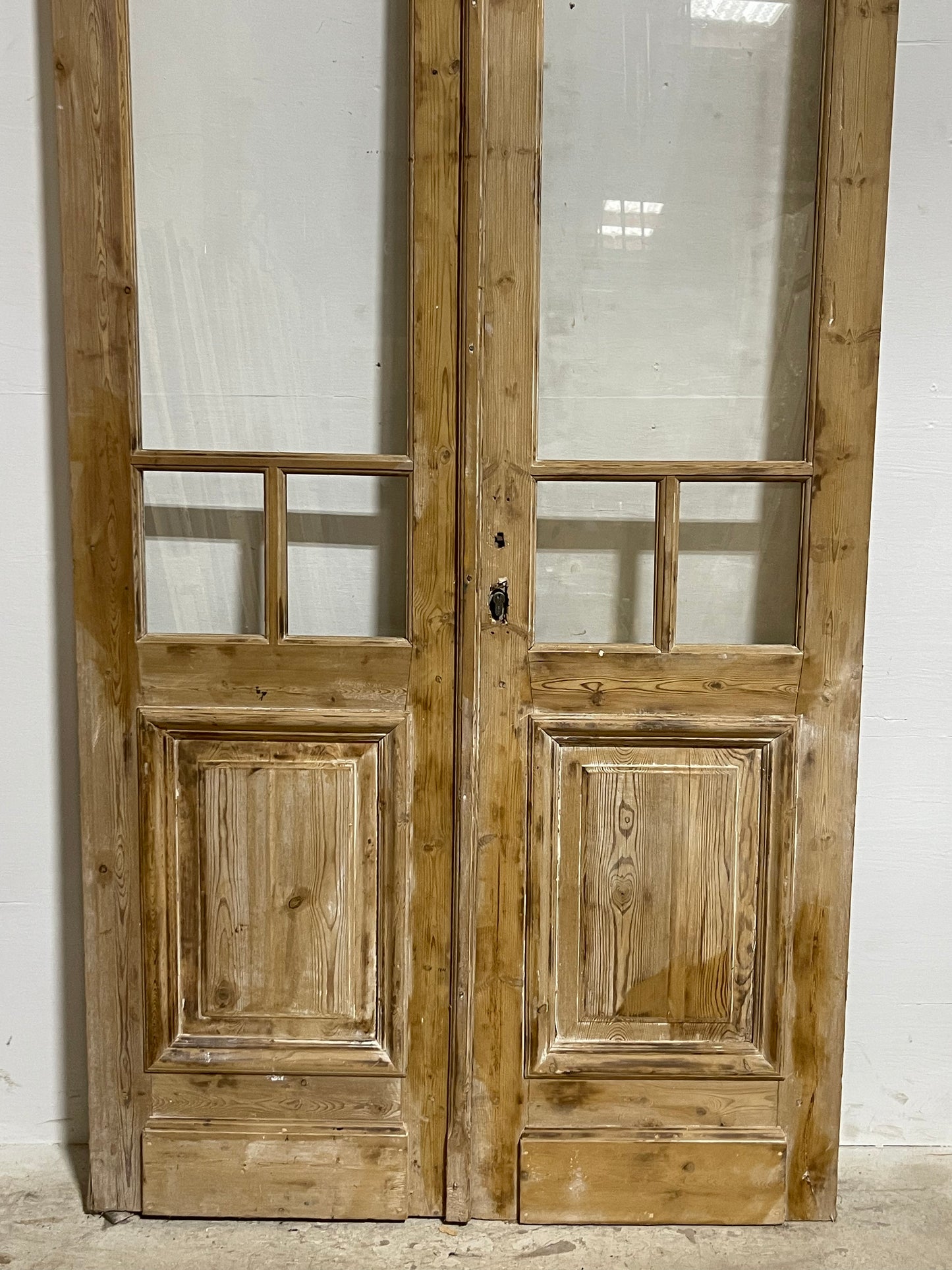 Antique French Panel Doors with Glass (101x44) J321