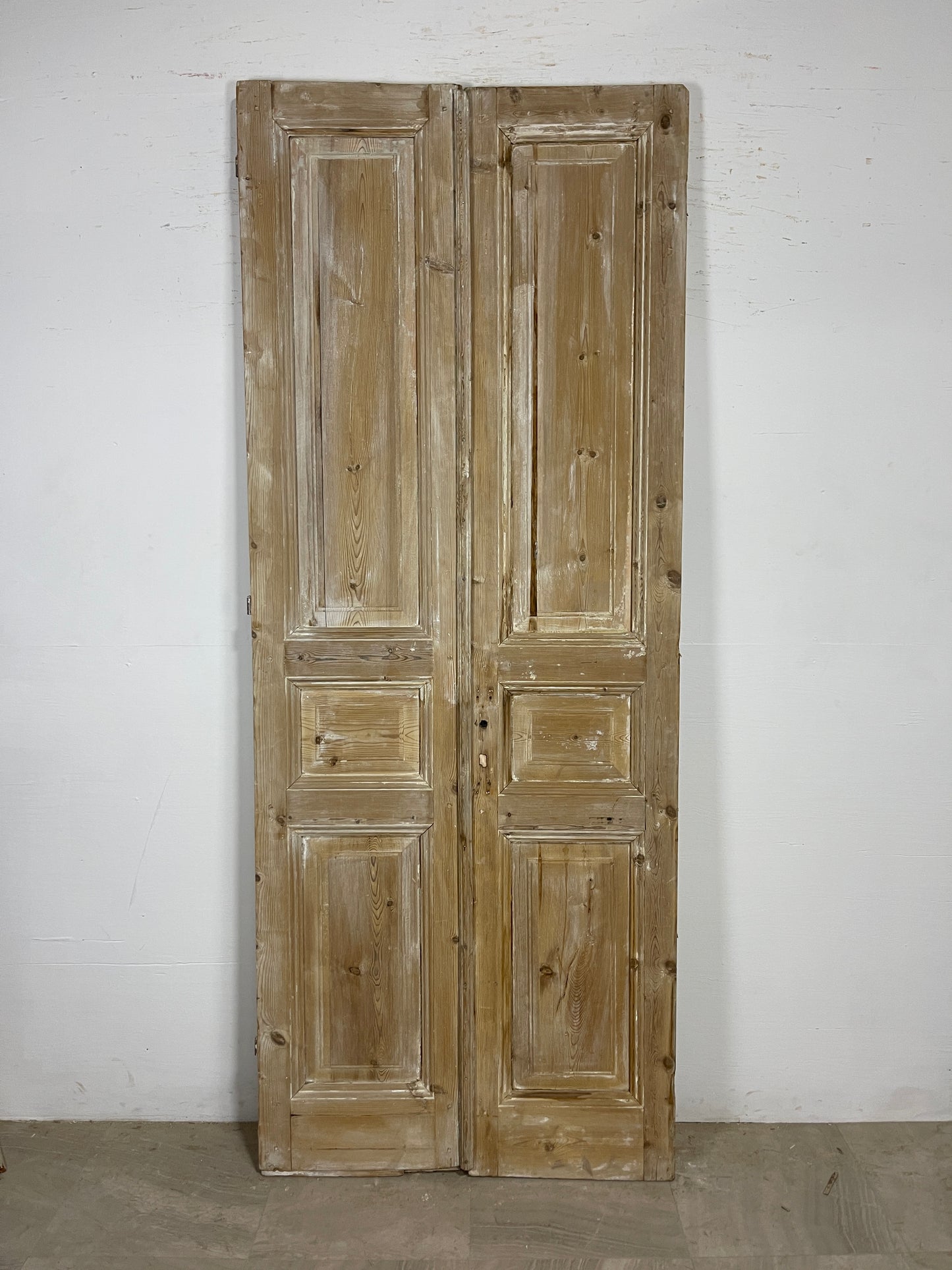 Antique French panel Doors (95.5 x 37.5) O129