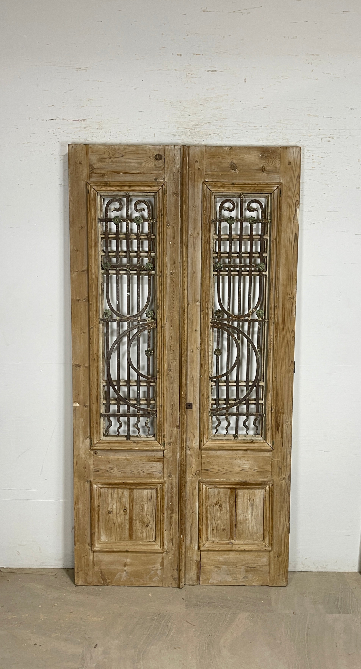 Antique French panel doors with Metal (92x47) P101
