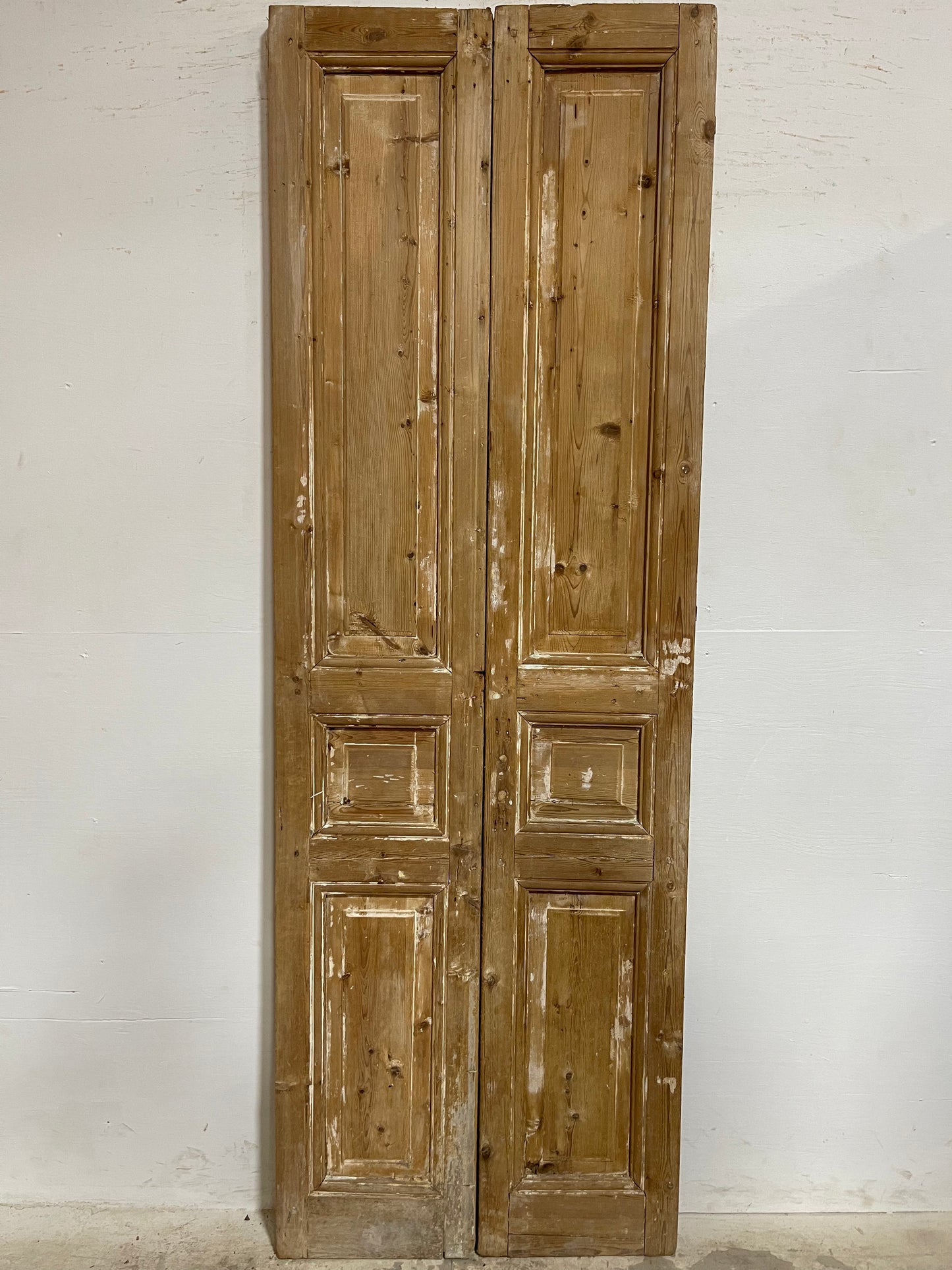Antique French Panel Doors (91.5x31) J659