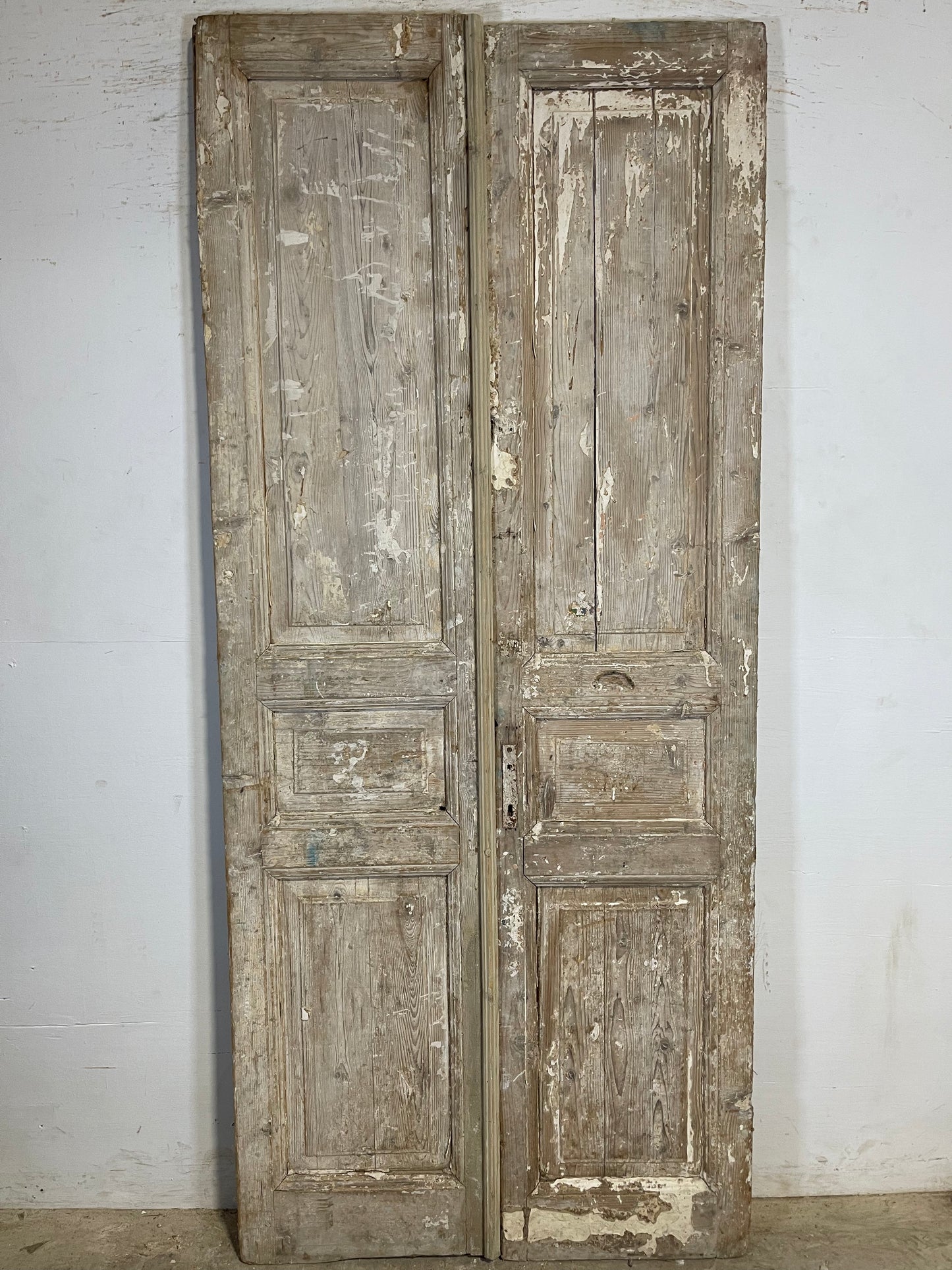 Antique French panel Doors (92.25x40.25) K639
