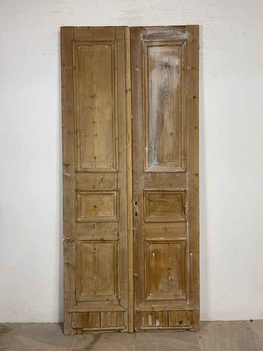 Antique French panel Doors (91.25 x 41.25) O206