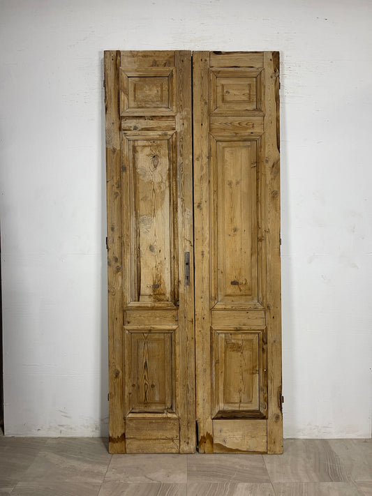 Antique French panel Doors (97.5 x 42.5) N144