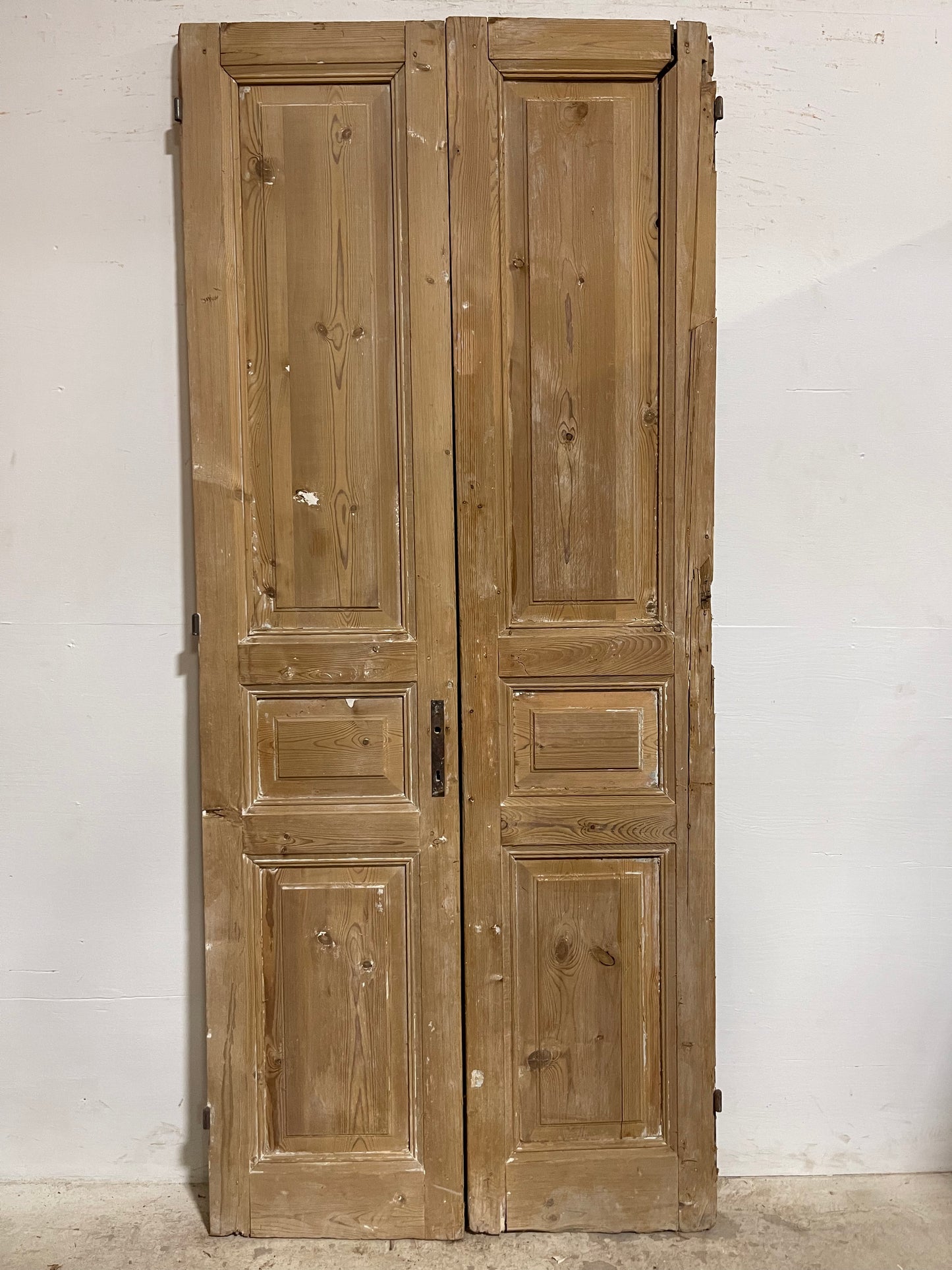 Antique French panel Doors (93x40.25) J634