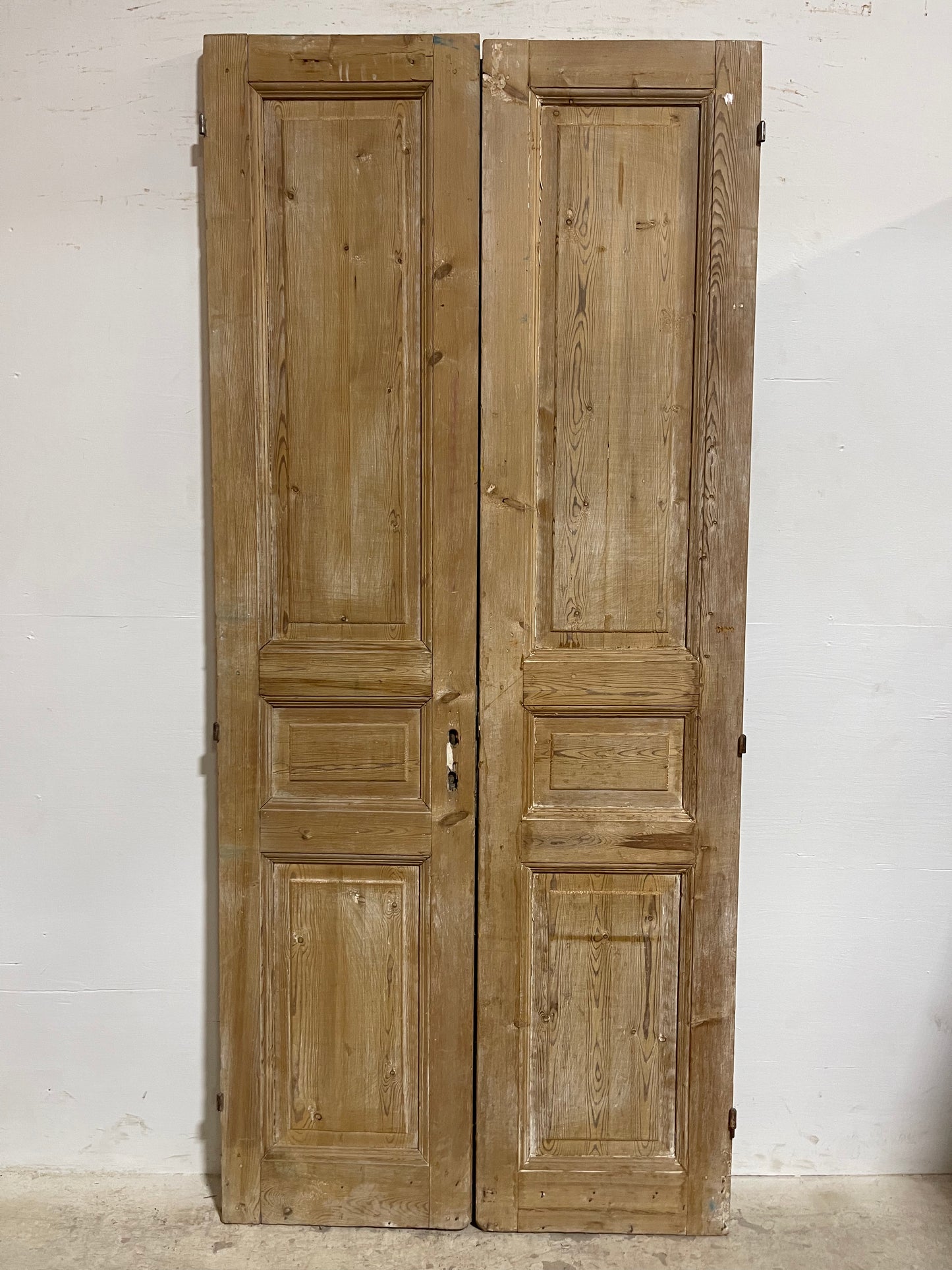 Antique French panel Doors (90.5x40) J609