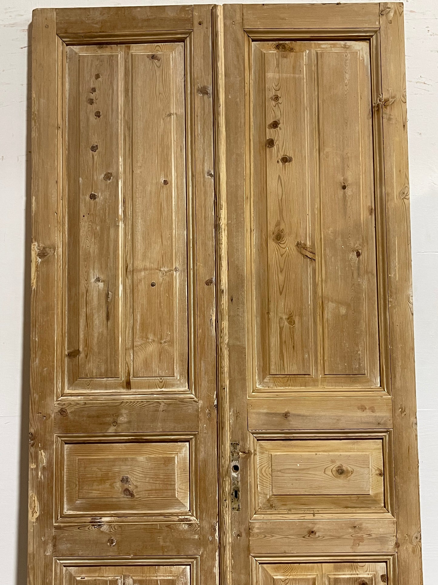 Antique French panel Doors (97.25x40.75) J624