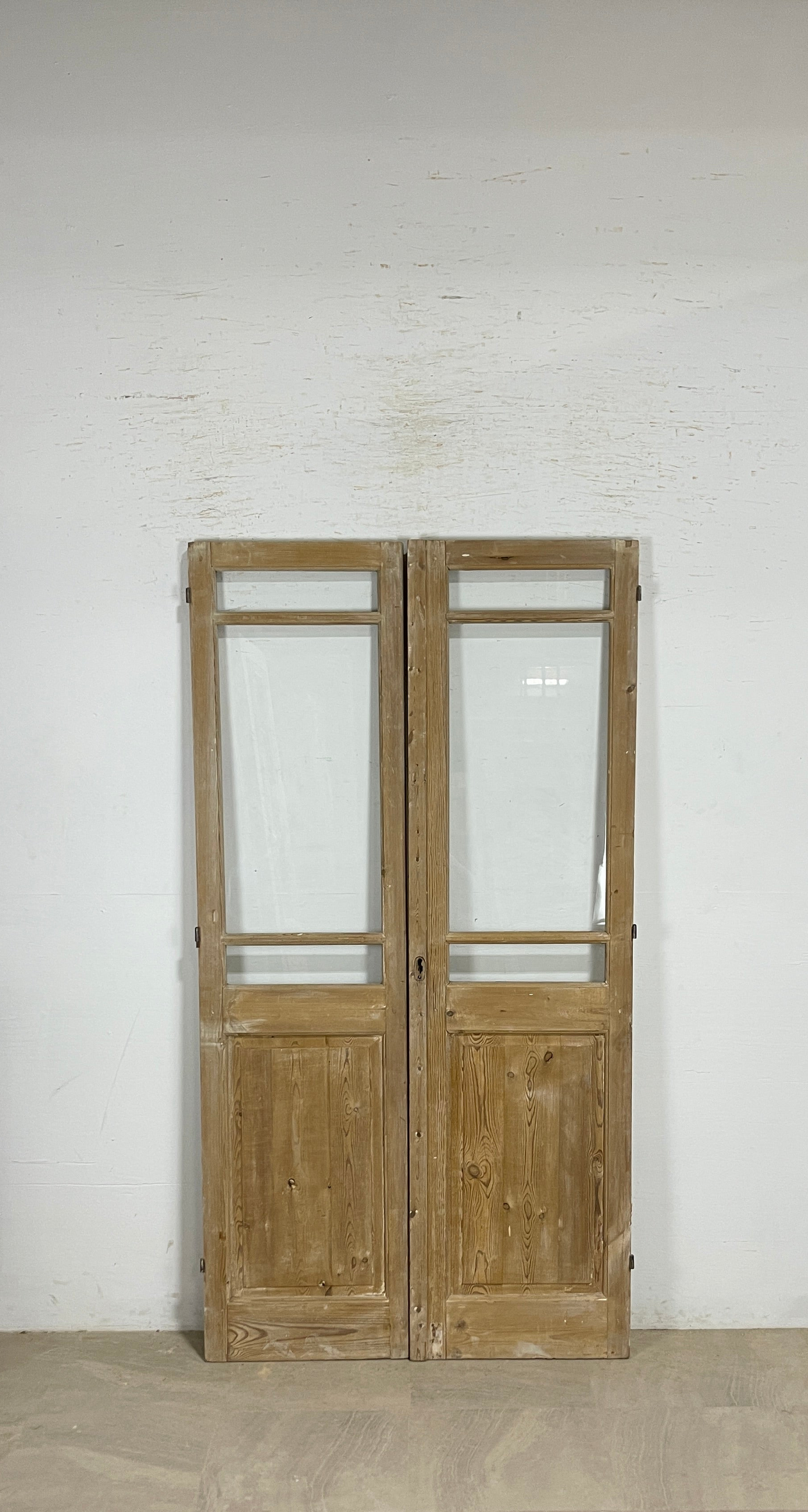 Antique French panel doors with Glass (83x44) P154