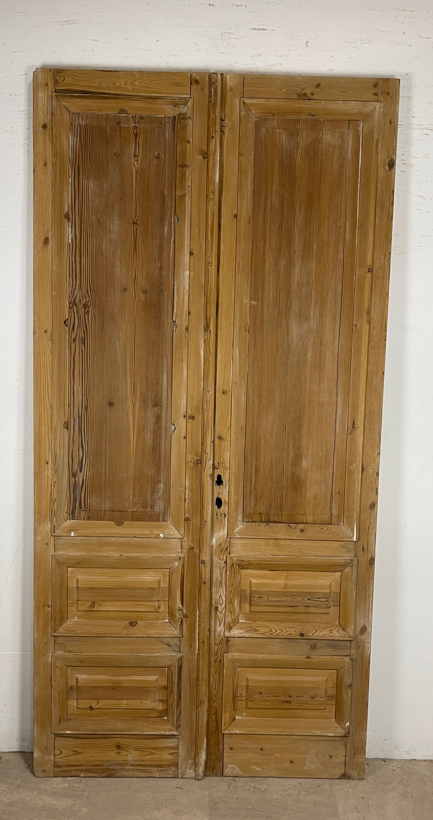 Antique French panel doors with Carvings (100 x 49.5) P55