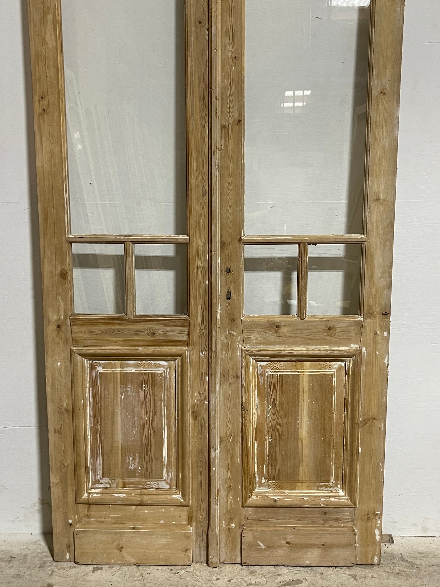 Antique French Panel Doors with Glass (101x44) J323