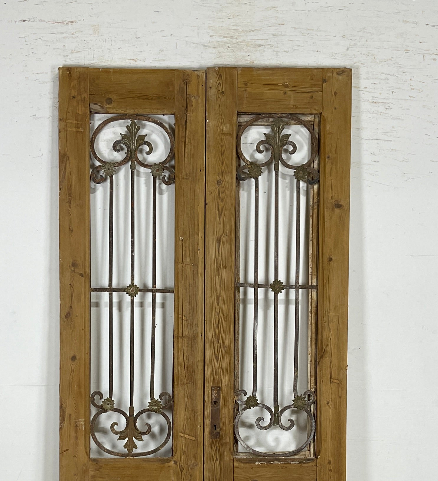 Antique French panel doors with Metal (92x40) P95
