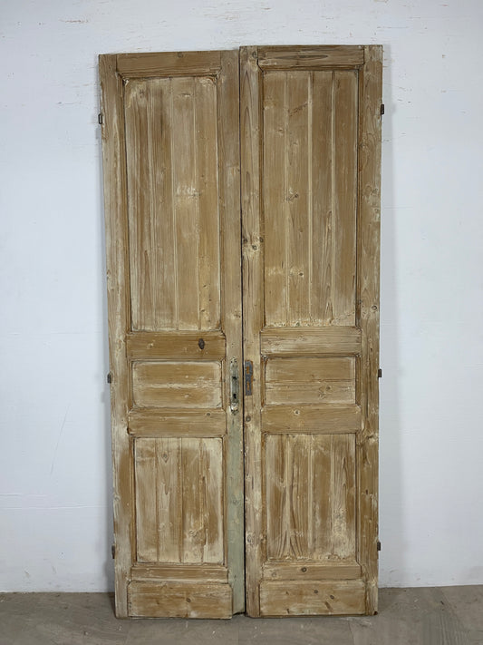 Antique French panel Doors (90.5 x 43.75) O125