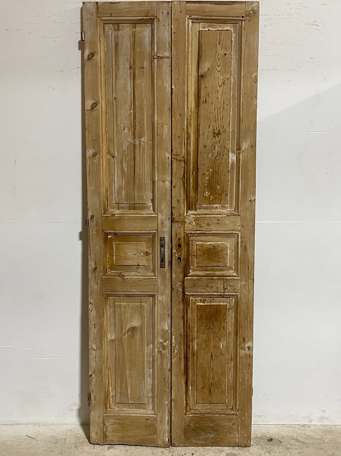 Antique French panel Doors (92x35) J621