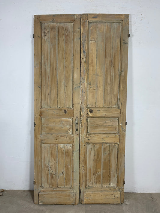 Antique French panel Doors (89.5 x 44) O124