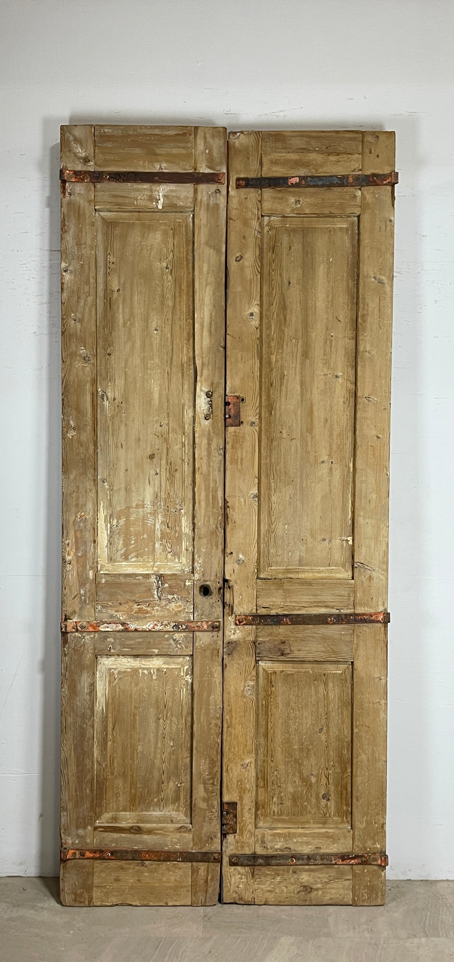 Antique French panel doors with Carvings (113 x 48) P53