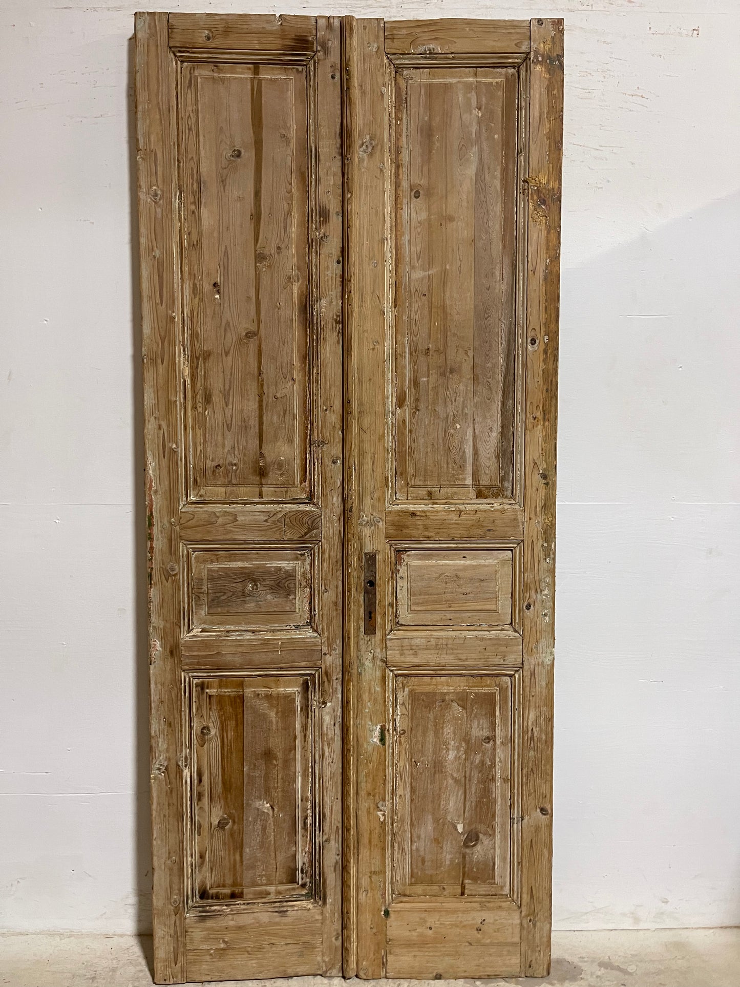 Antique French Panel Doors (94x40.25) J672B