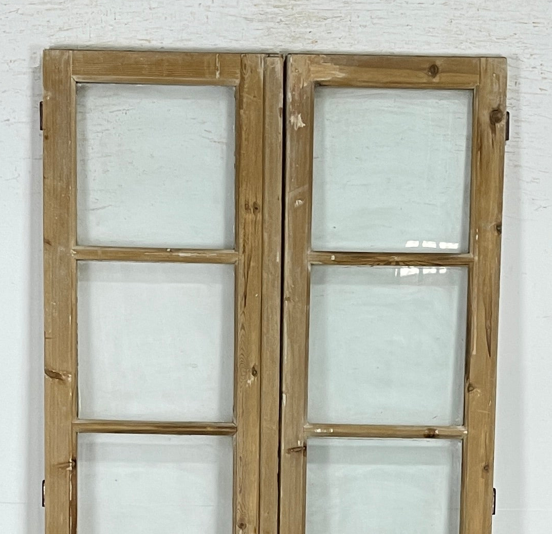 Antique French panel doors with Glass (91x44) P169