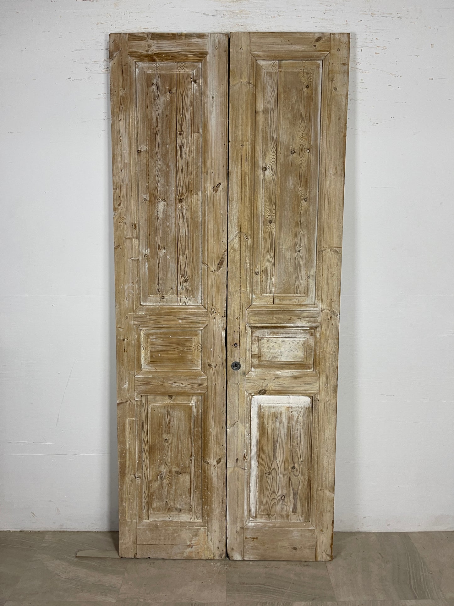 Antique French panel Doors (91.5 x 39.5) O171