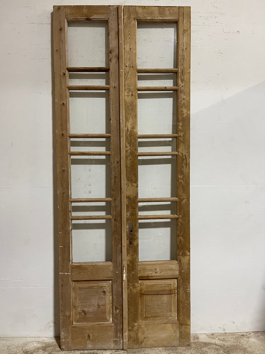 Antique French Panel Doors with glass (100x39.25) J305