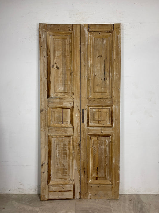 Antique French panel Doors  (94.5 x 43.5)  N143