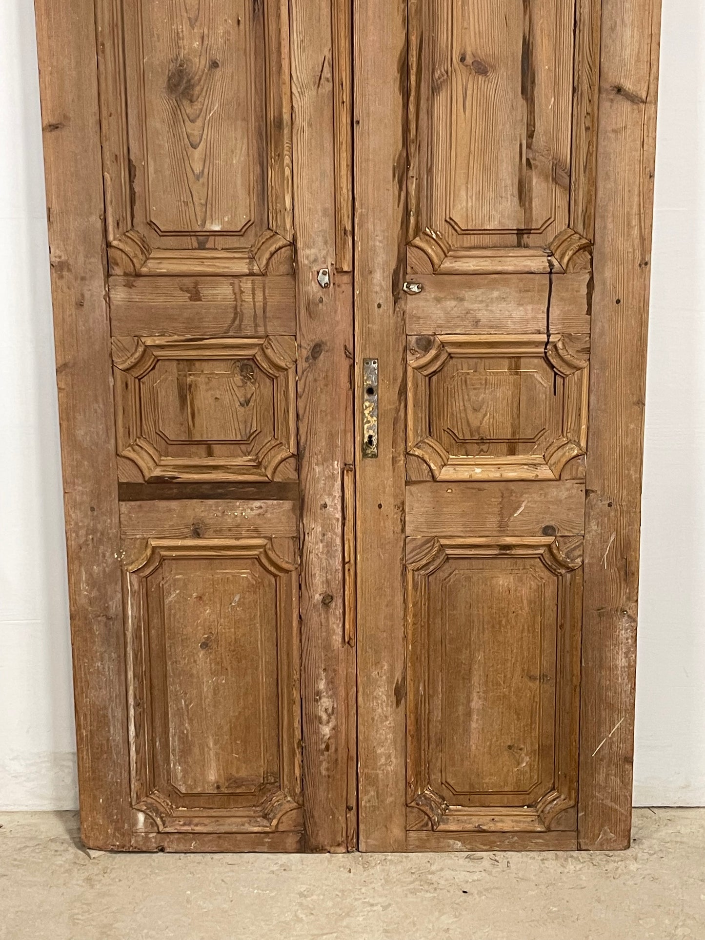 Antique French panel Doors (94.5 x 43) M173