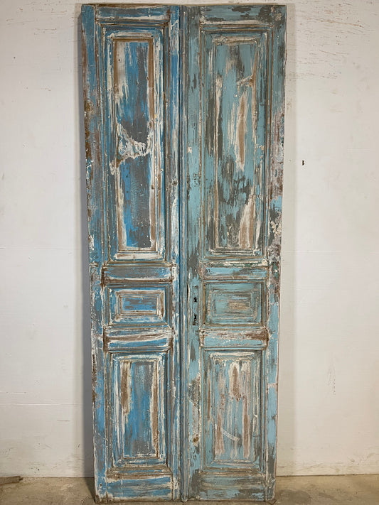 Antique French panel Doors (89.5x34.5) K632   FHL