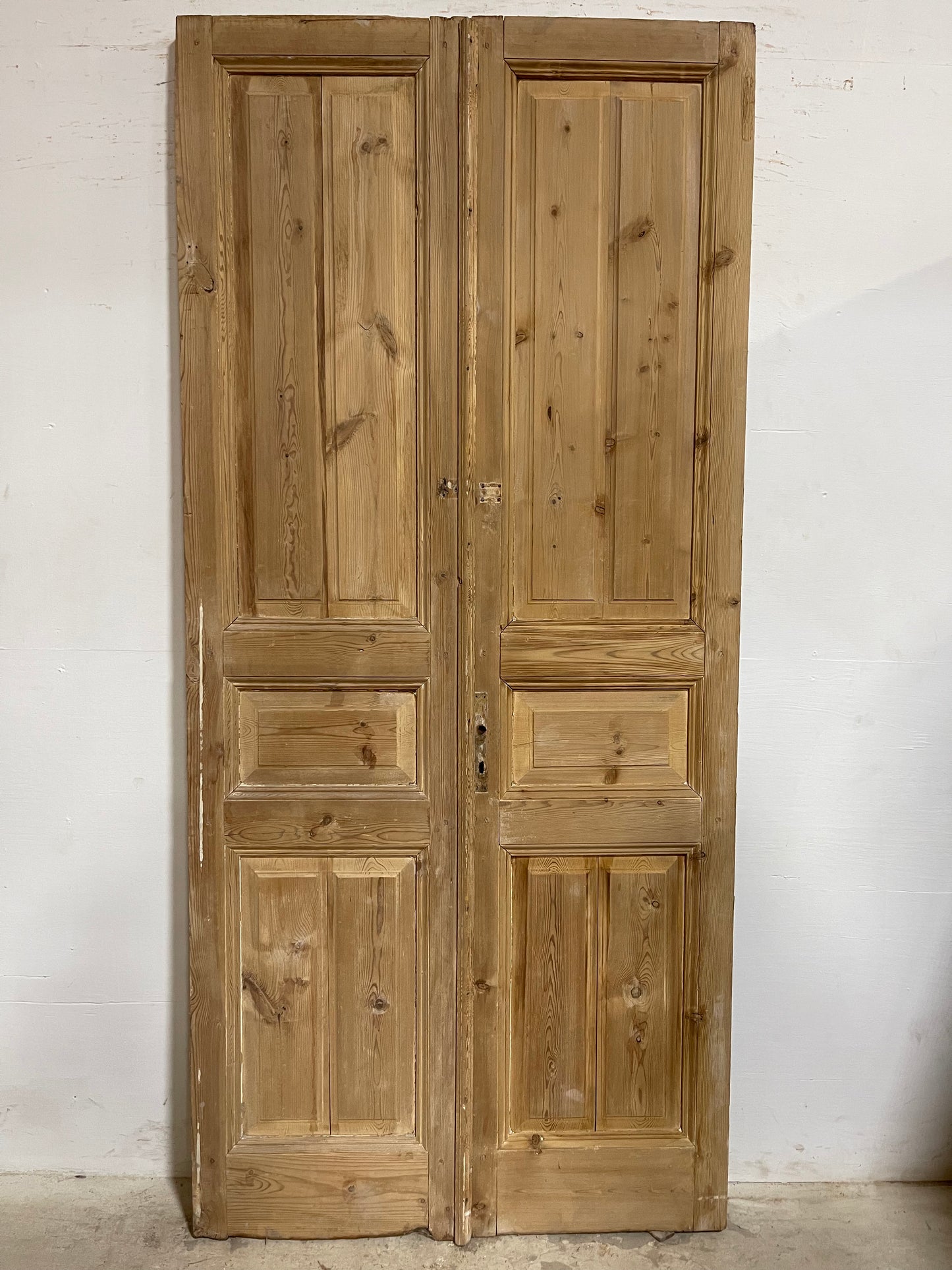Antique French Panel Doors (97.5x44.5) J669