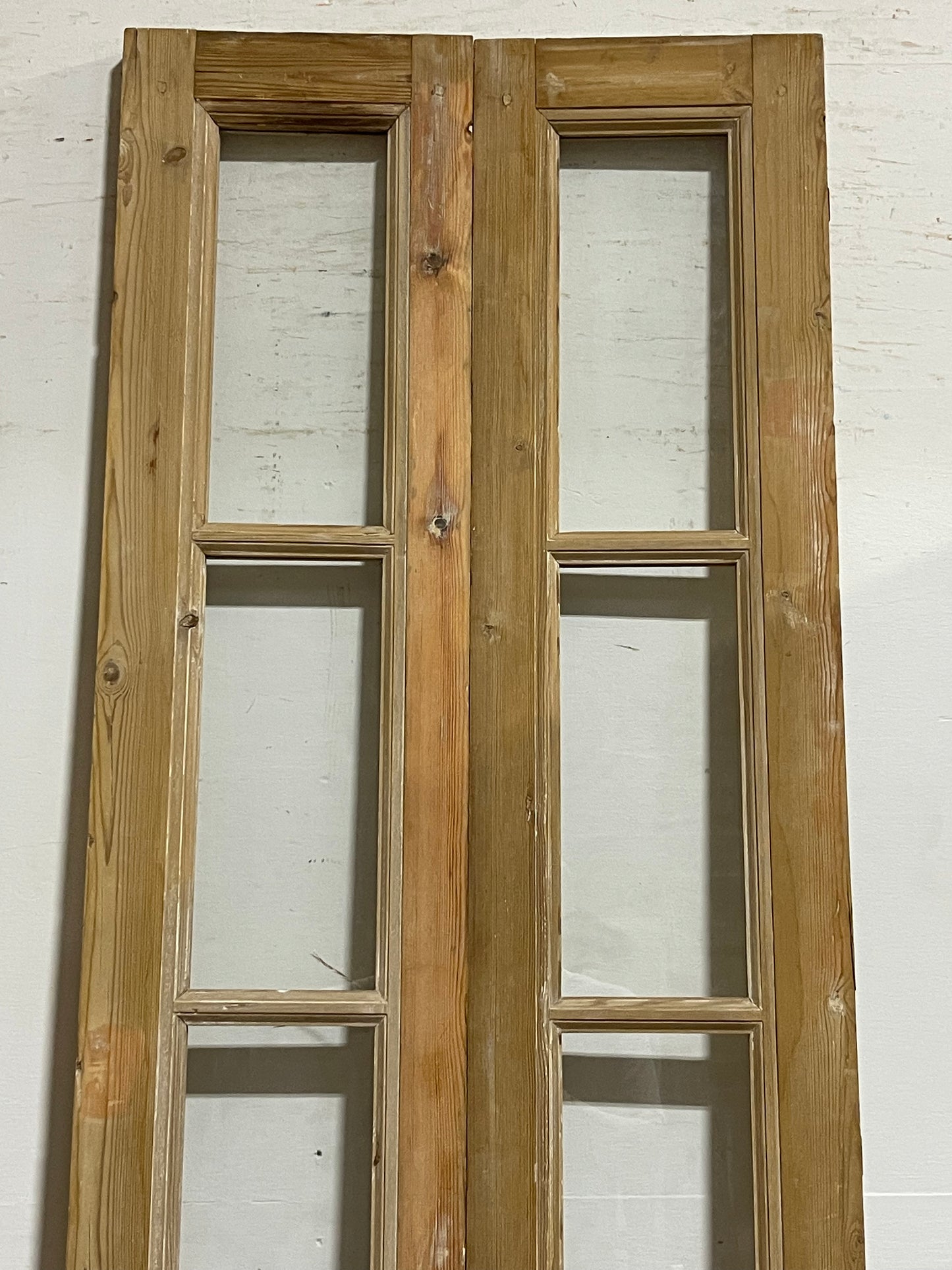 Antique French Panel Doors withg Glass (96x29.75) J325