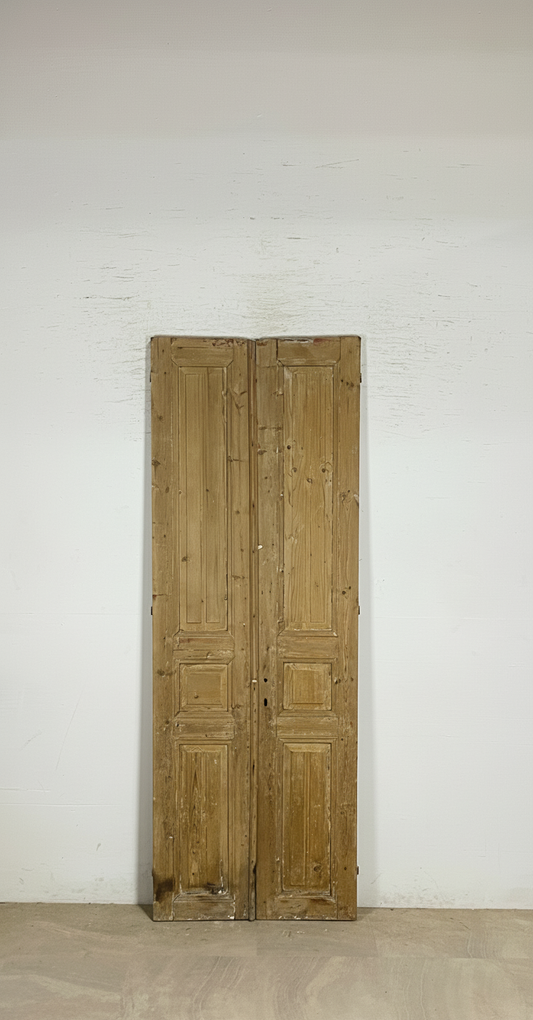 Antique French panel Doors (91x32.5) P186