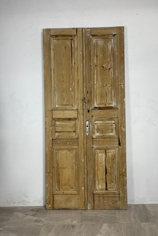 Antique French panel Doors   (98.75 x 44.5) N064
