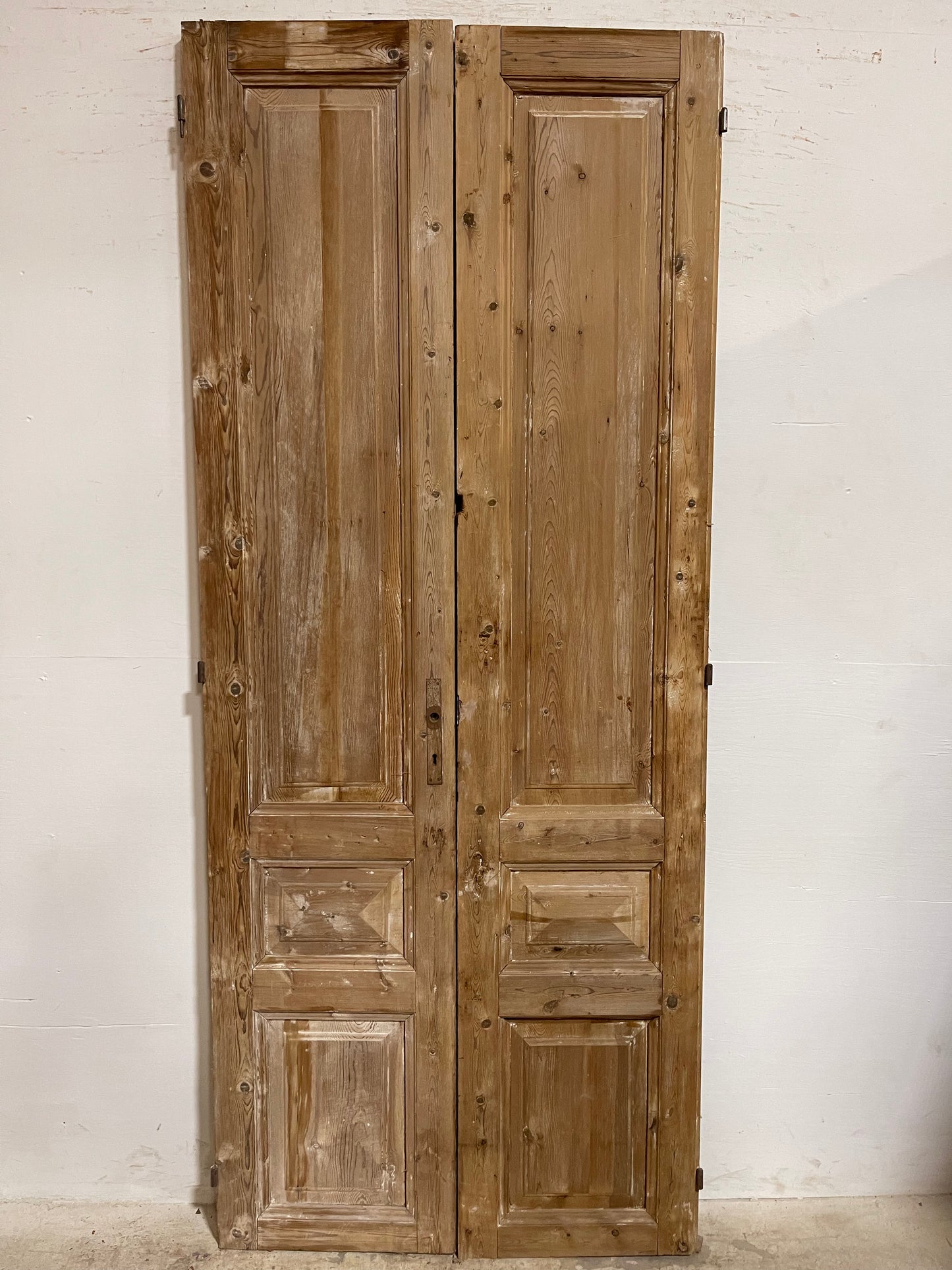 Antique French Panel Doors (94.5x39) J656