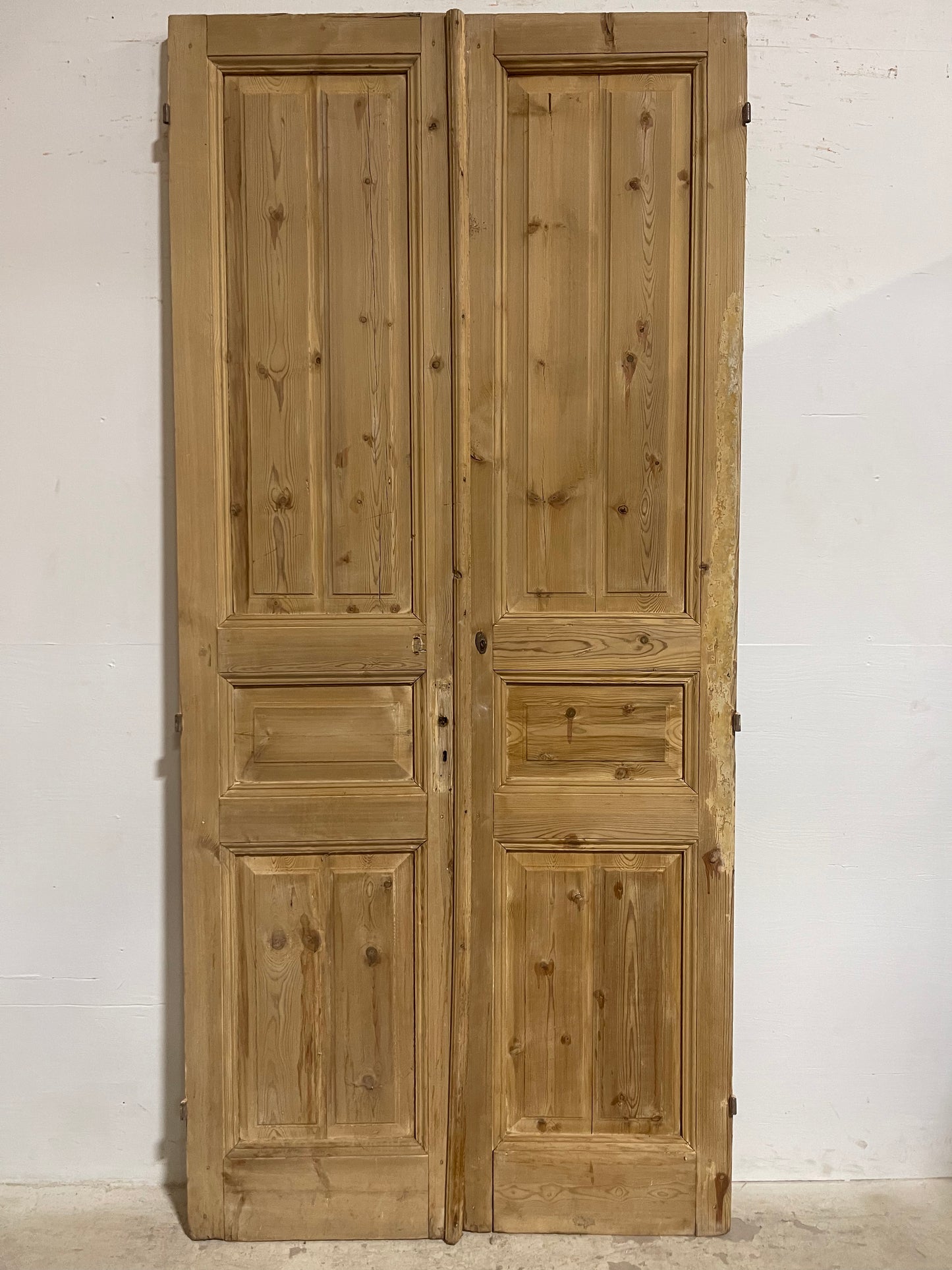 Antique French panel Doors (96.75x44.25) J606