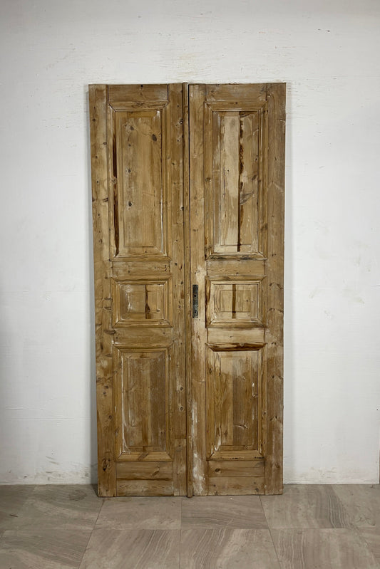 Antique French panel Doors (94.25 x 43.75)    N138