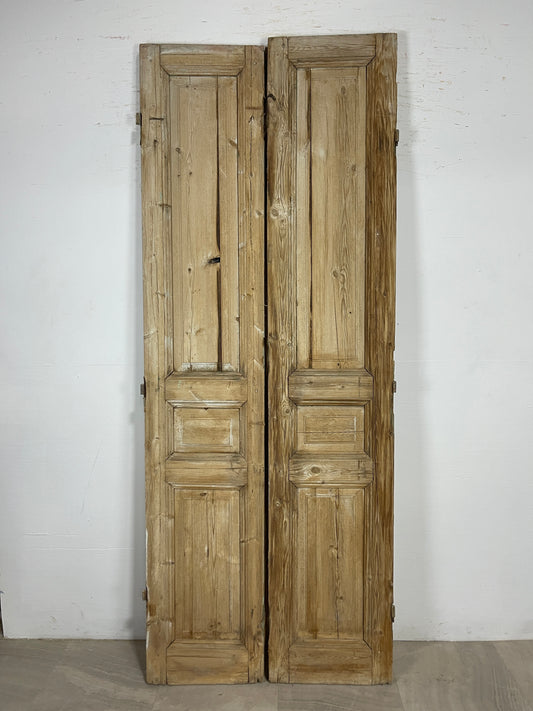 Antique French panel Doors (95x37.75) O157
