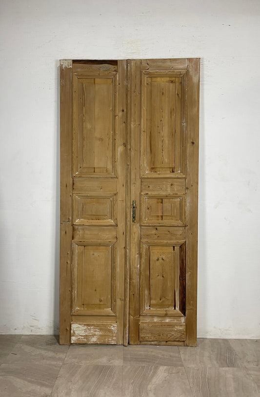 Antique French panel Doors (95 x 46.5)   N137   FHL