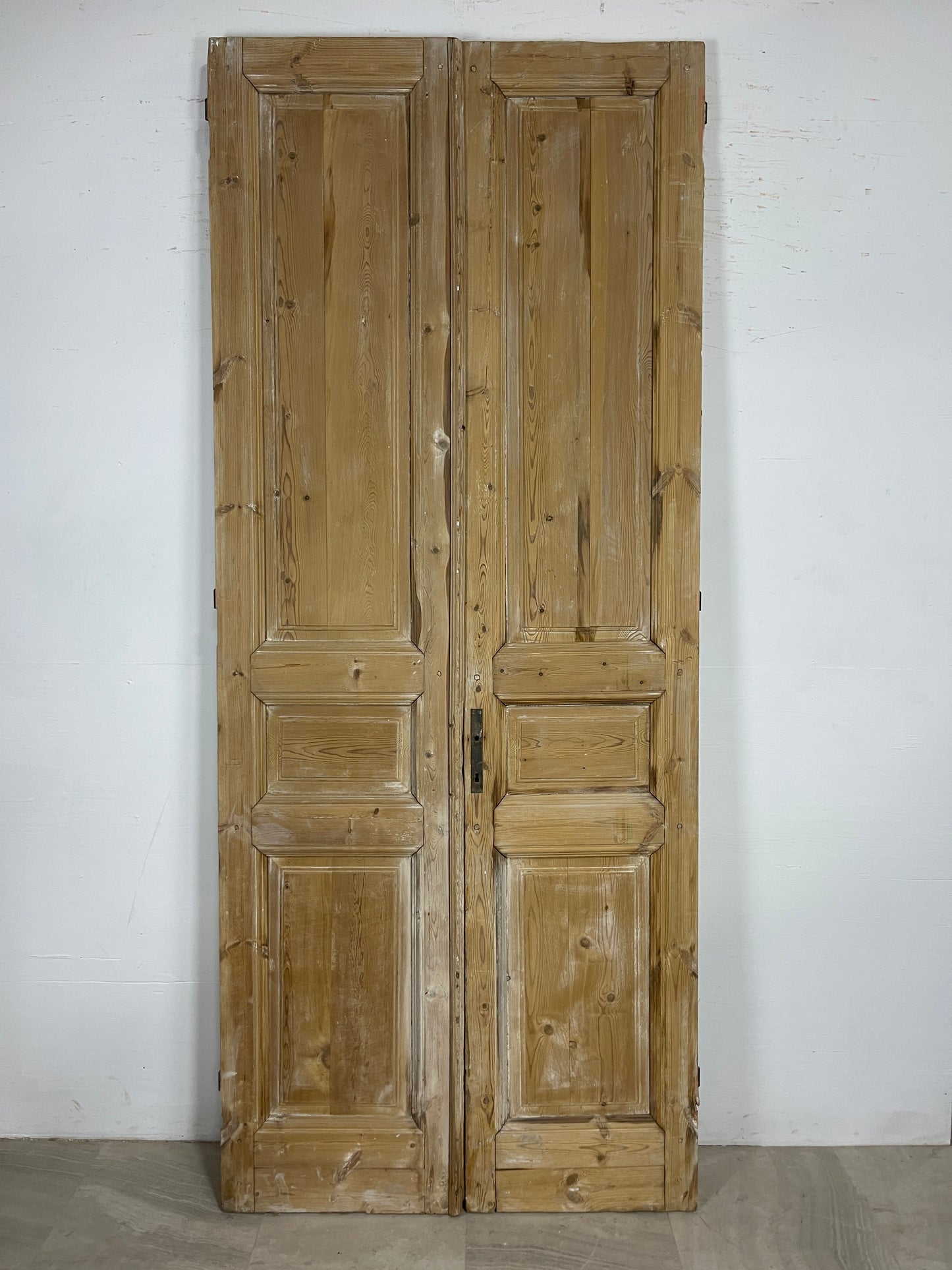 Antique French panel Doors (101.5x41) O163