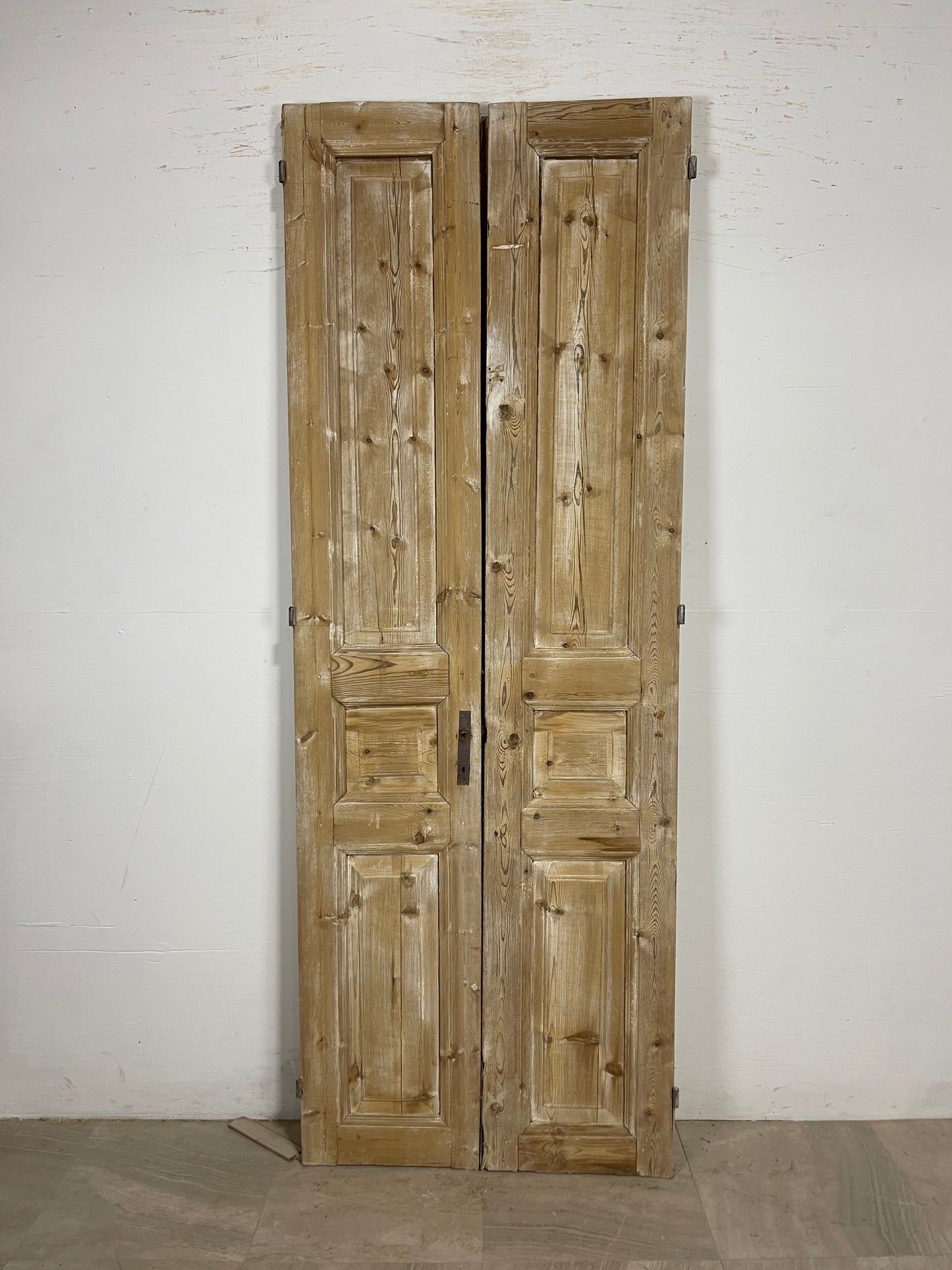 Antique French panel Doors (89.5 x 32.5) O168